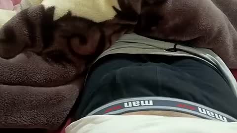 marocreda33 online show from January 30, 8:53 pm