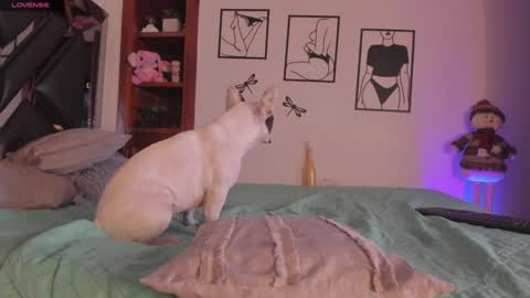 Snapshot of marstone_ chatting on January 3, 4:11 am Mar online show from January 3, 4:11 am