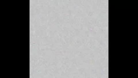   online show from October 3, 11:40 am