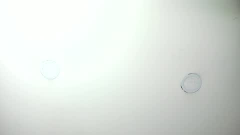 MashaPink online show from April 7, 12:38 pm