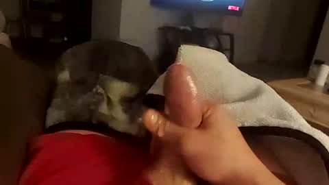 Snapshot of maslog1821 chatting on September 30, 12:04 am maslog1821 online show from September 30, 12:04 am