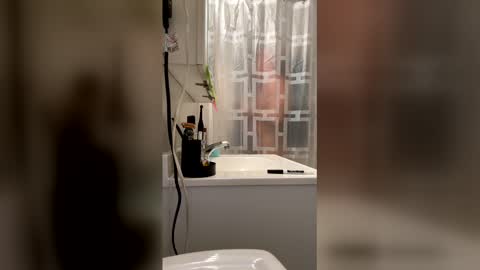 HappyZending online show from January 17, 11:19 pm