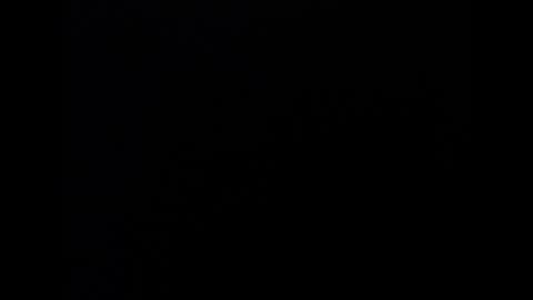 Marl online show from January 16, 4:49 am