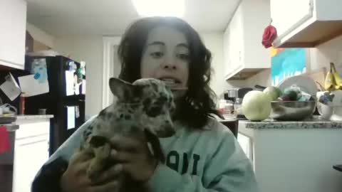 Snapshot of mastressluna chatting on November 21, 9:24 pm Mastress Luna online show from November 21, 9:24 pm