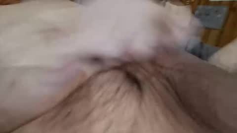 masturbator469658 online show from November 7, 2:50 pm