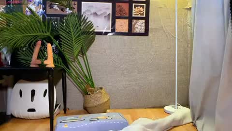 SuSu online show from January 16, 3:32 am