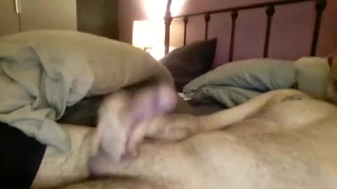 matrixdog69 online show from November 4, 4:06 pm