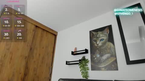 MattMeness online show from November 28, 10:56 pm