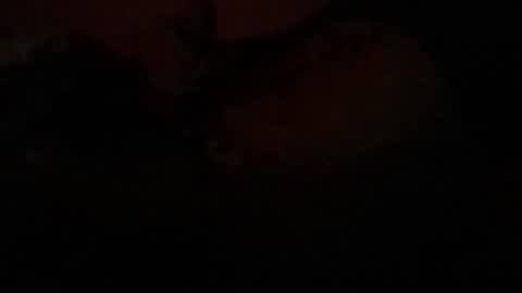 Lira online show from February 23, 7:39 am