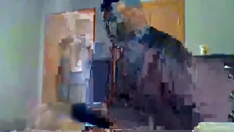 Snapshot of mauricescott chatting on April 11, 8:13 pm mauricescott online show from April 11, 8:13 pm