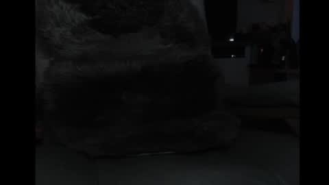 mav1962 online show from April 5, 6:05 pm