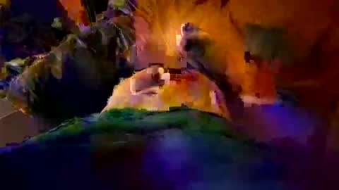 max884572 online show from April 23, 11:18 pm