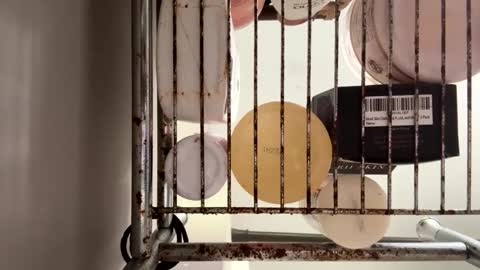 Snapshot of maxaux chatting on October 14, 7:36 pm Max online show from October 14, 7:36 pm