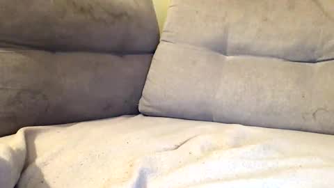 Snapshot of maximemax14 chatting on February 25, 8:18 pm maximemax14 online show from February 25, 8:18 pm