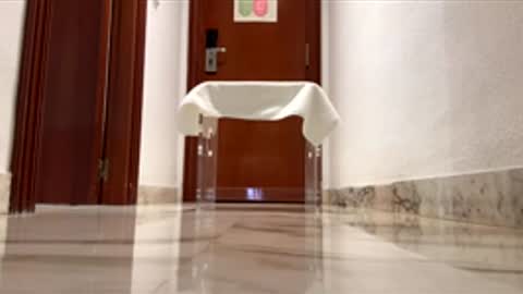 maximo1991 online show from December 14, 6:19 am