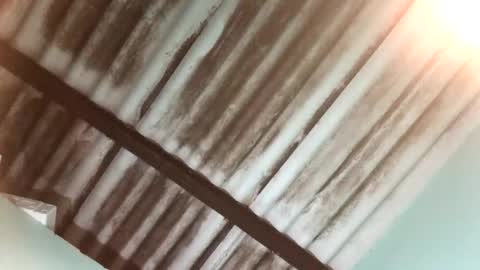 Snapshot of maximo_vega_new chatting on January 25, 4:02 am Maximo Aron Vega online show from January 25, 4:02 am