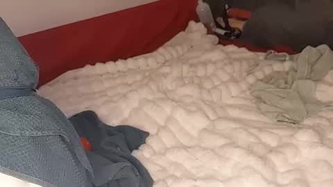 maybeanal online show from October 12, 5:06 am