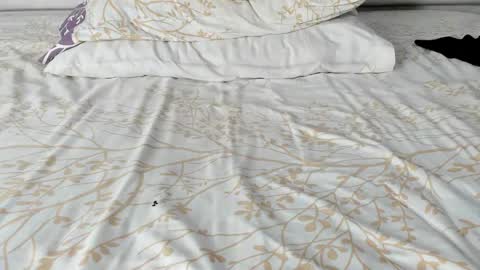 Maybelline69 online show from November 20, 2:23 am