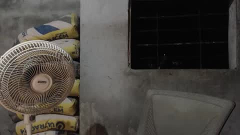 Snapshot of mcgregor_sexhot chatting on October 22, 2:56 am Mcgregor online show from October 22, 2:56 am