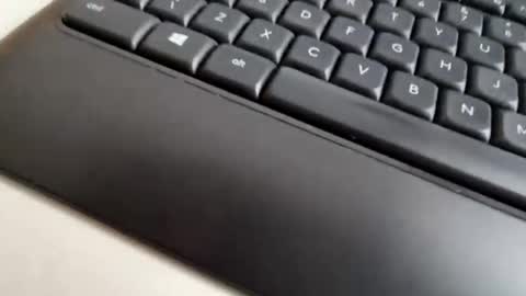 mcloraheen online show from February 20, 2:06 pm