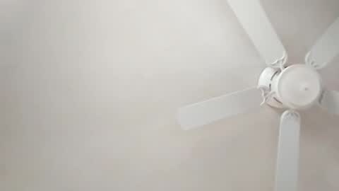 Snapshot of mcwire4 chatting on January 1, 5:44 pm mcwire4 online show from January 1, 5:44 pm