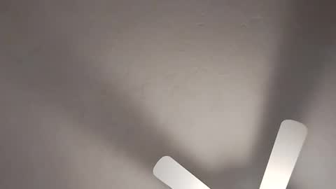 Snapshot of mcwire4 chatting on January 19, 8:41 pm mcwire4 online show from January 19, 8:41 pm