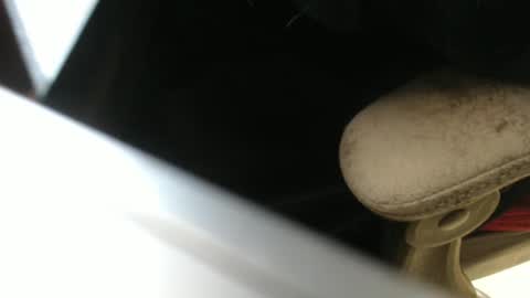 Snapshot of mee9090e900 chatting on September 21, 1:02 pm mee9090e900 online show from September 21, 1:02 pm