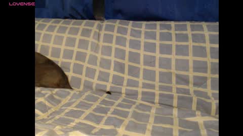 Snapshot of meg4nmiau chatting on February 19, 2:01 am Meg4n Miauuuu online show from February 19, 2:01 am