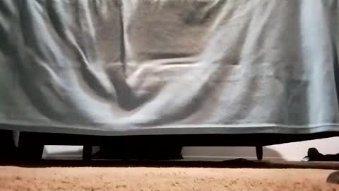 megacock420420 online show from December 10, 2:27 am