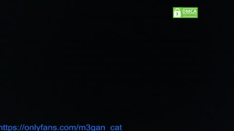 Snapshot of megan_cat chatting on July 4, 5:19 pm megan_cat online show from July 4, 5:19 pm