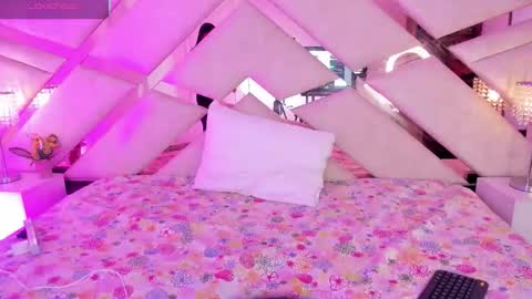     online show from November 21, 12:26 pm