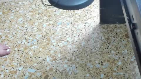 Snapshot of megan_hally chatting on February 1, 6:00 am Megan online show from February 1, 6:00 am