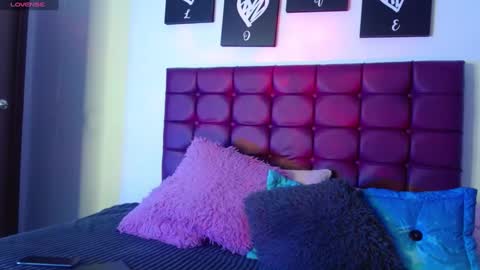 Snapshot of megan_lr chatting on December 31, 3:55 am Valentina online show from December 31, 3:55 am