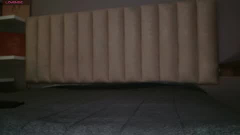     online show from January 19, 11:58 am