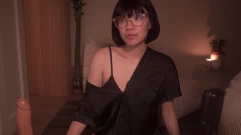 Snapshot of meganmei666 chatting on December 2, 3:04 am for more 3 online show from December 2, 3:04 am