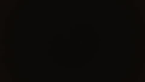 MELANI online show from November 26, 2:29 pm