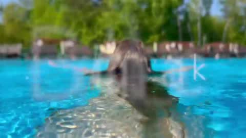 Adel online show from April 20, 6:53 pm