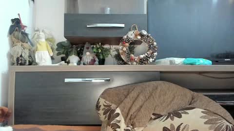 Snapshot of mellbell_ chatting on January 8, 10:58 pm MellyMell online show from January 8, 10:58 pm