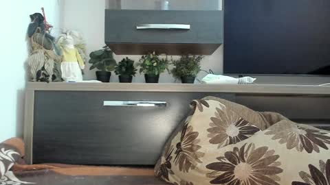 Snapshot of mellbell_ chatting on January 30, 11:02 pm MellyMell online show from January 30, 11:02 pm