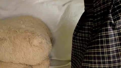 MelMooon online show from March 9, 7:40 pm