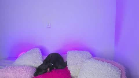 Snapshot of melody__77 chatting on February 15, 4:36 am online show from February 15, 4:36 am