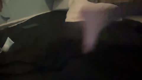 melt13 online show from October 13, 12:05 pm