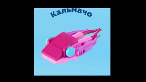 meowcr online show from February 27, 2:17 pm