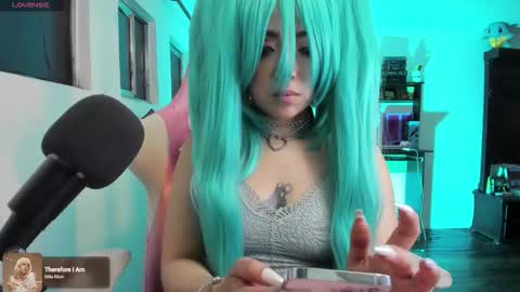 Snapshot of meowmelf chatting on December 2, 1:00 am meowmelf online show from December 2, 1:00 am