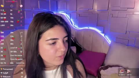 Snapshot of meraki_fraise chatting on January 2, 12:34 am online show from January 2, 12:34 am