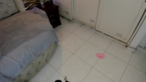 Snapshot of meraki_fraise chatting on January 21, 1:08 am online show from January 21, 1:08 am