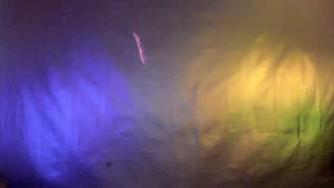 Snapshot of meraki_fraise chatting on January 24, 7:07 pm online show from January 24, 7:07 pm