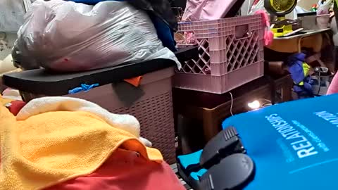 gurlnips online show from February 26, 7:09 am