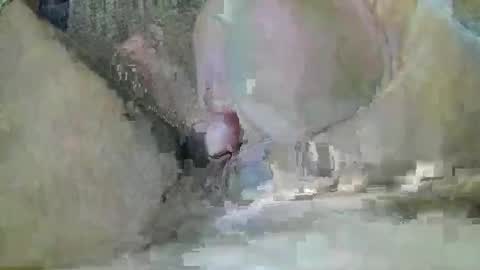 mexianthehawk online show from December 16, 8:47 pm