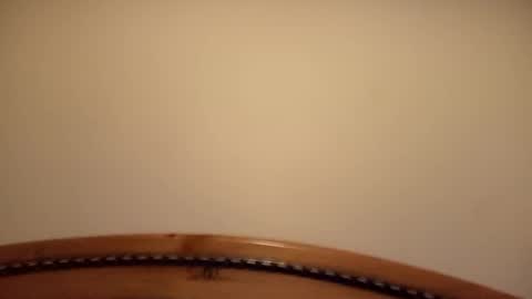 mhorny5 online show from September 14, 8:41 pm